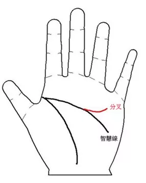 从手相看财运——哪些人容易发横财